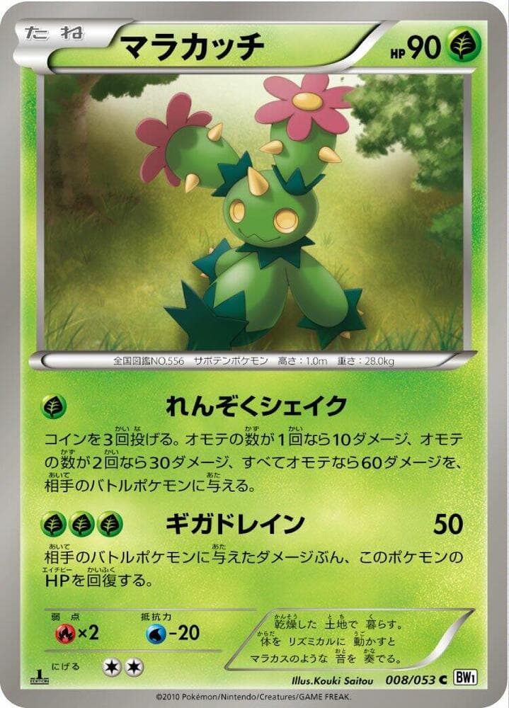 Maractus 008/53