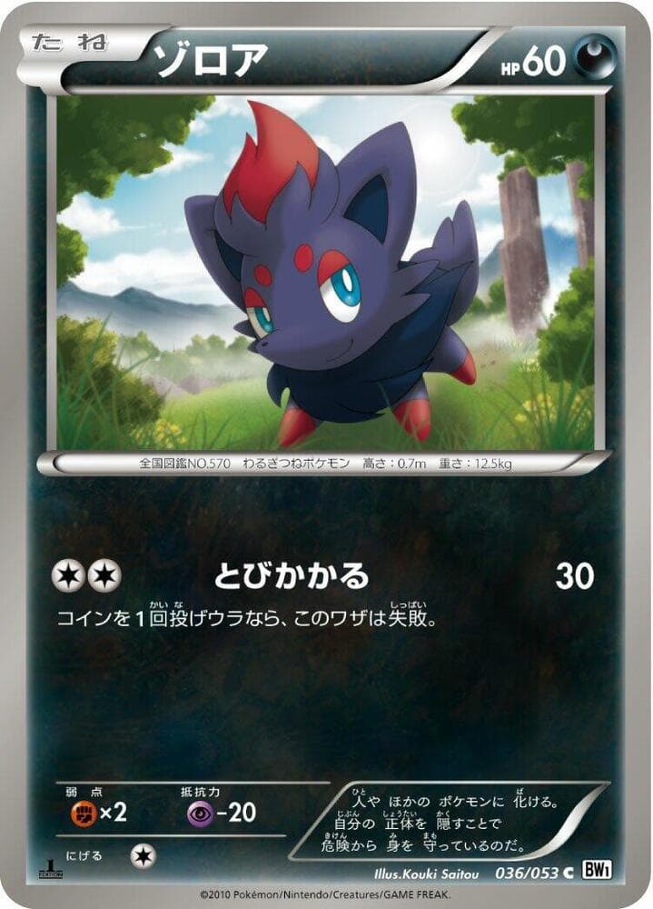 Zorua 036/53