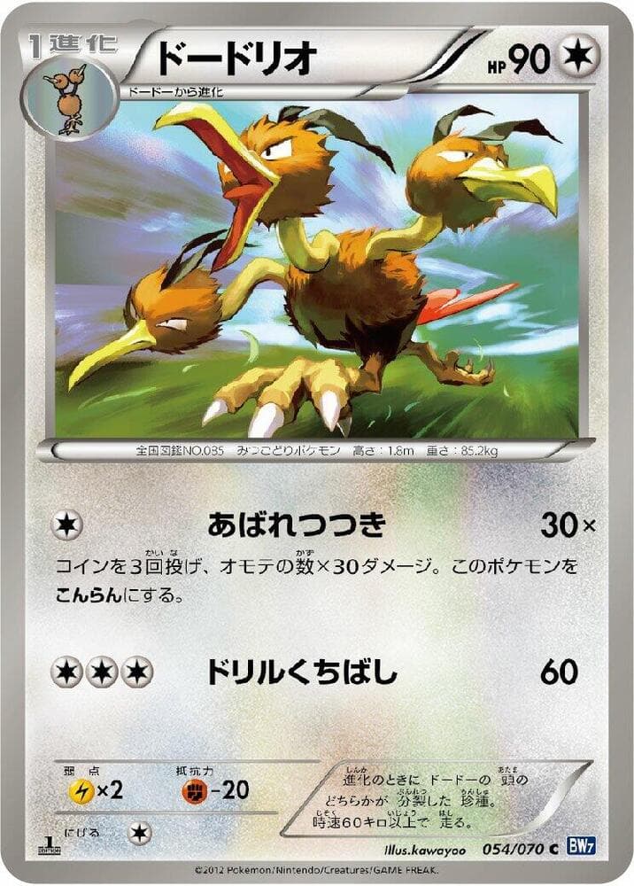 Dodrio 054/70