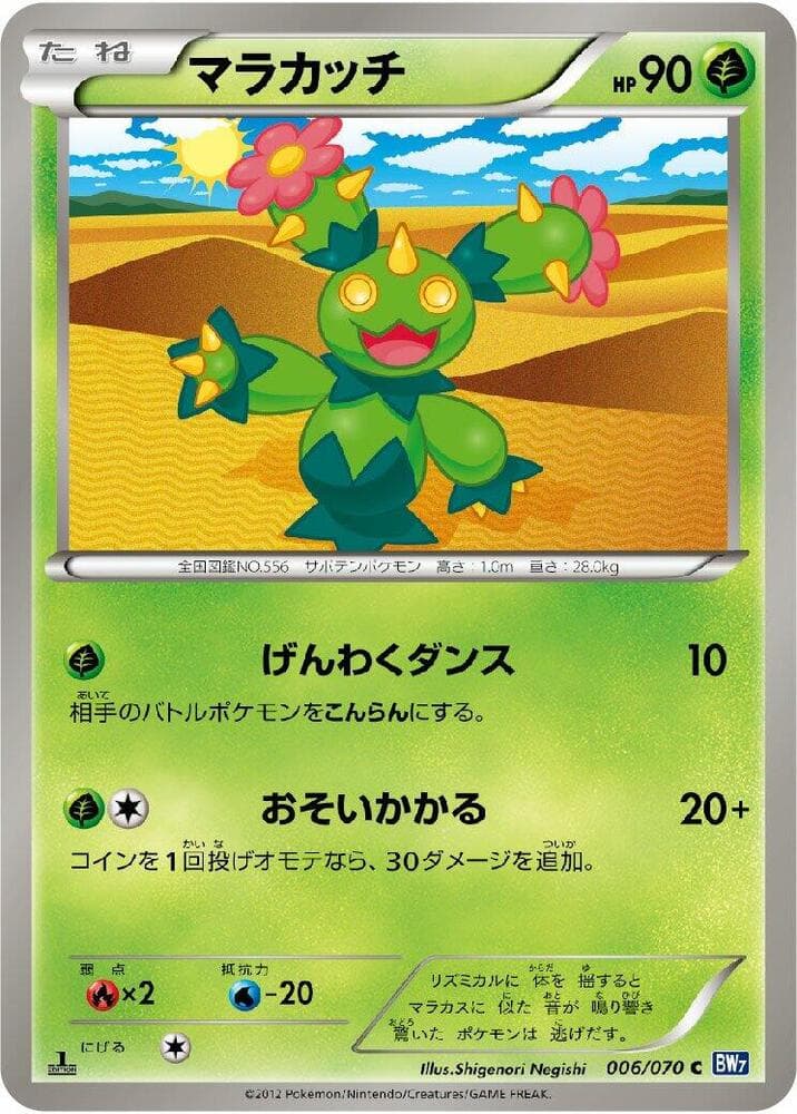 Maractus 006/70