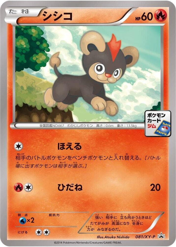 Litleo 081