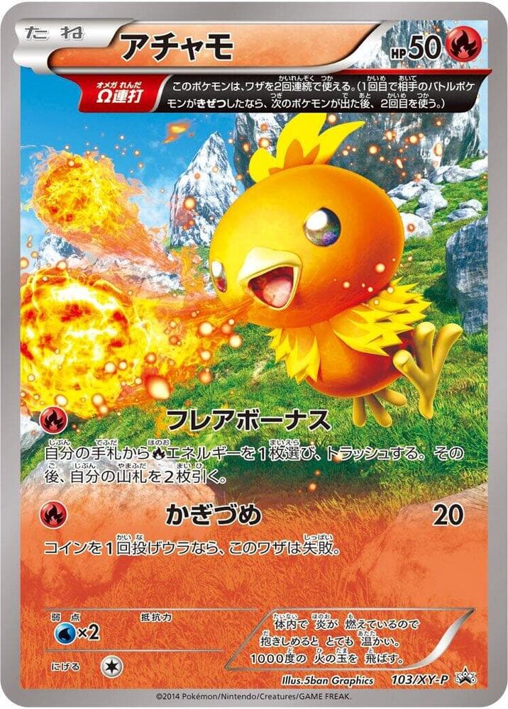 Torchic 103
