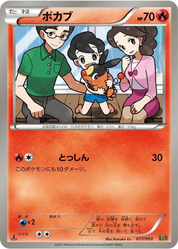 Tepig 017/93