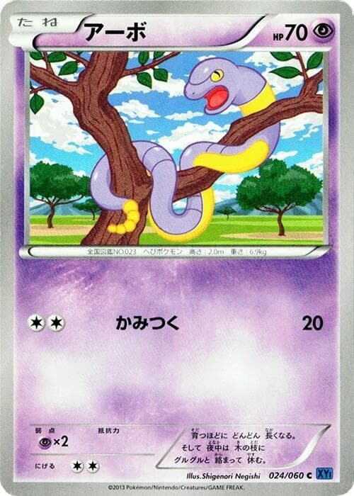 Ekans 024/60