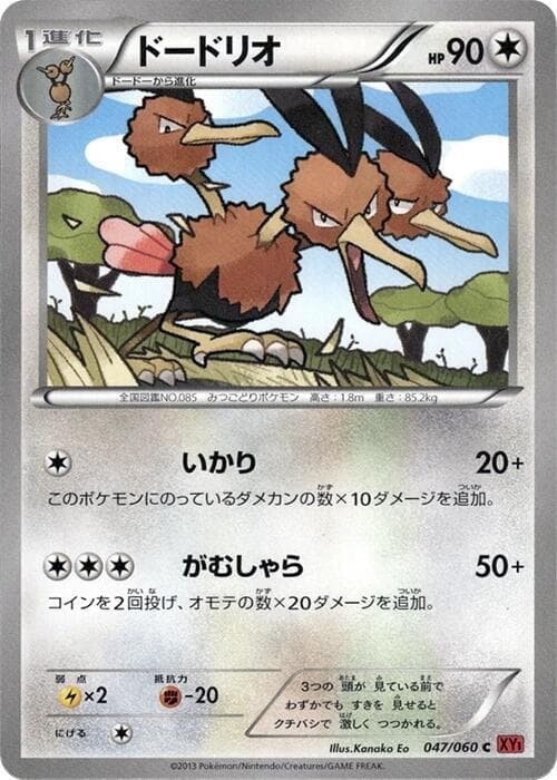 Dodrio 047/60