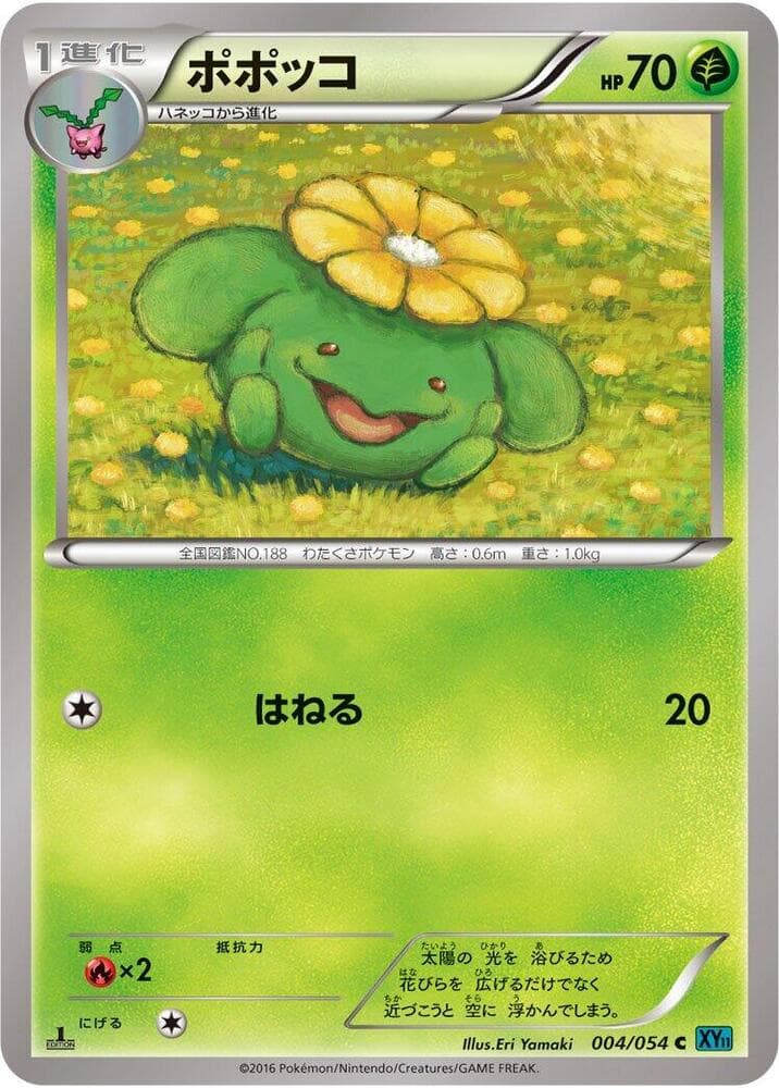 Skiploom 004/54