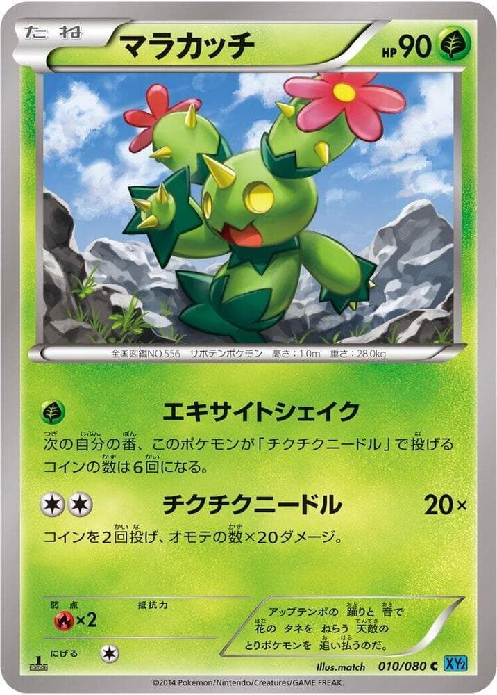 Maractus 010/80