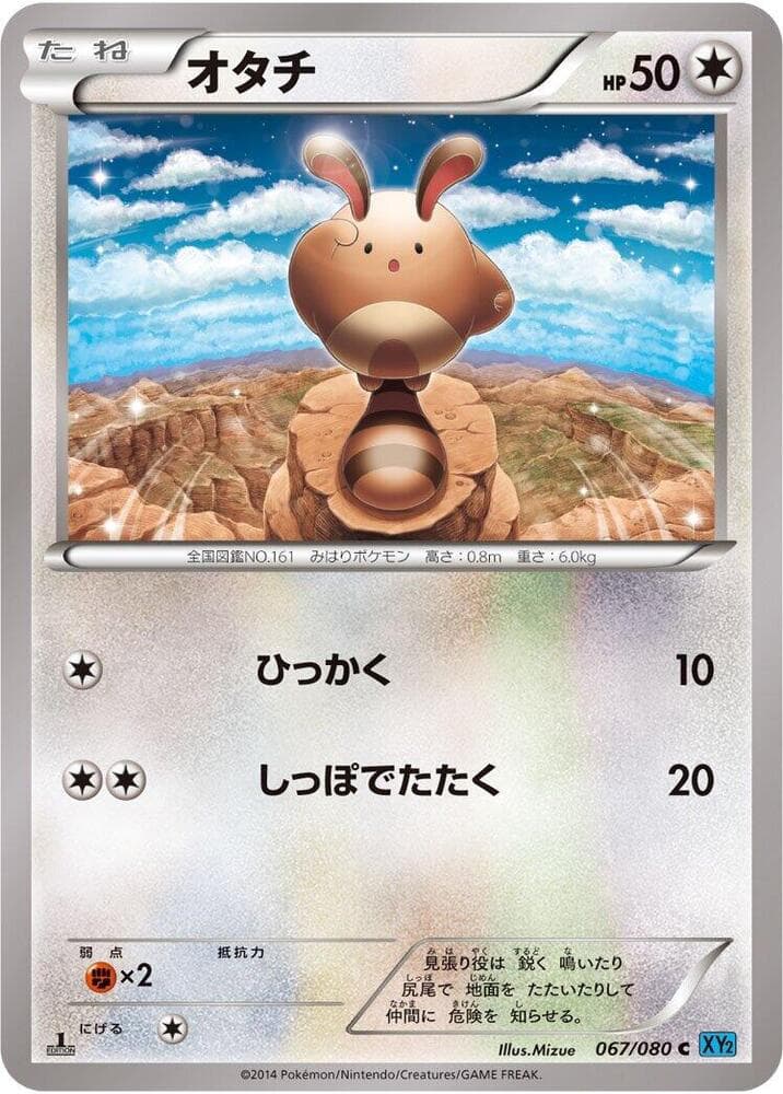 Sentret 067/80