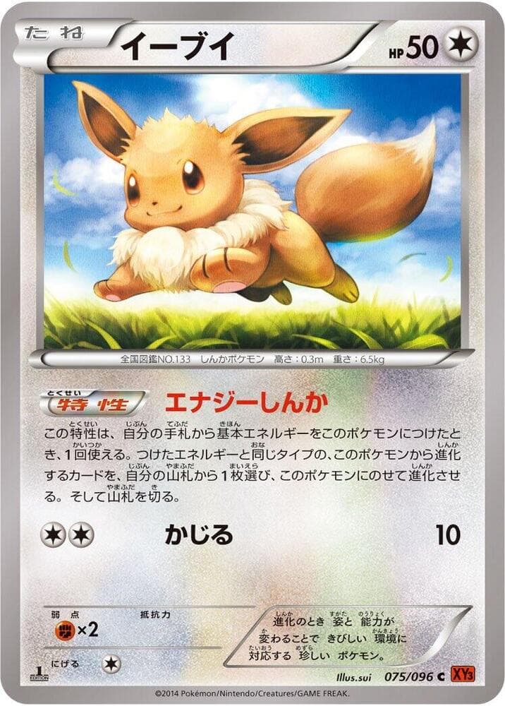Eevee 075/96