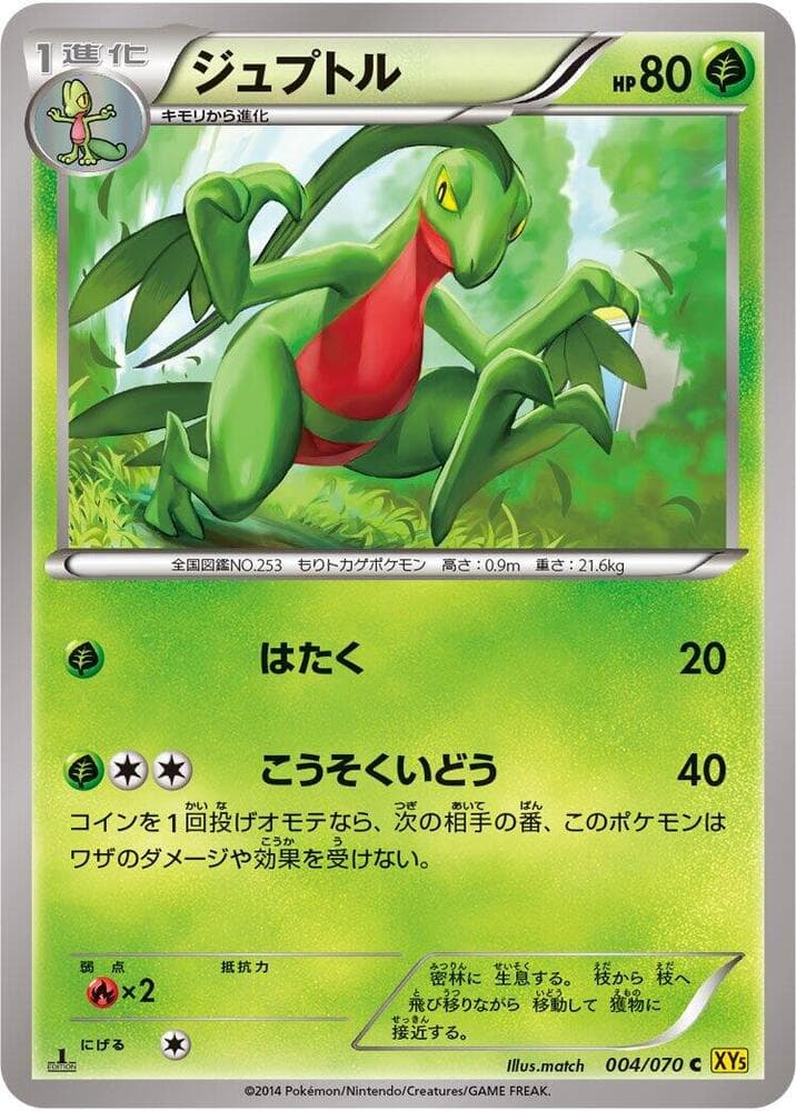 Grovyle 004/70