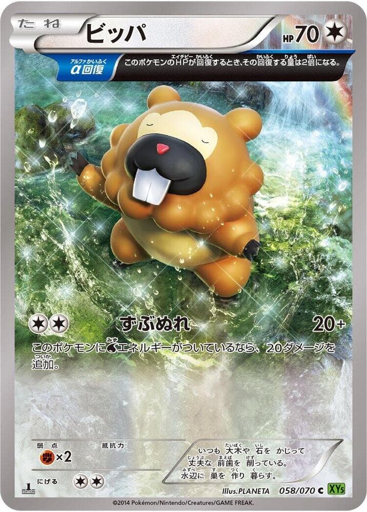 Bidoof 058/70
