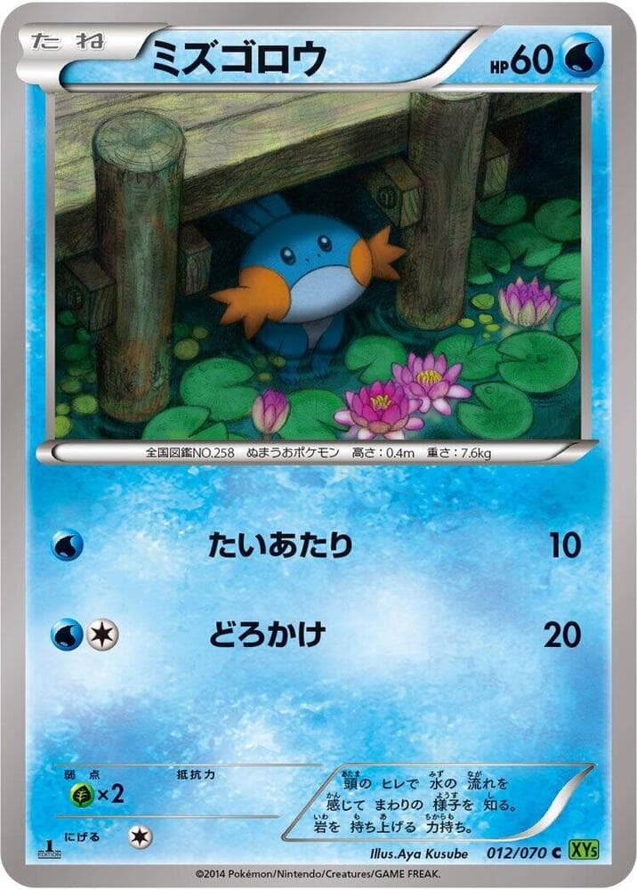 Mudkip 012/70