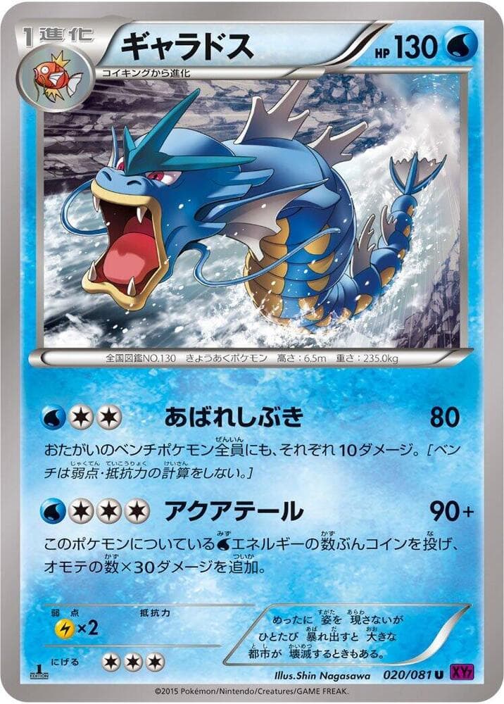 Gyarados 020/81