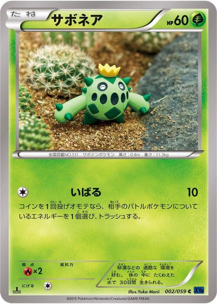 Cacnea 002/59