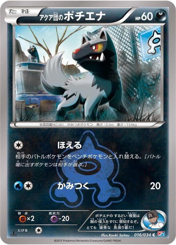 Team Aqua's Poochyena 016/34