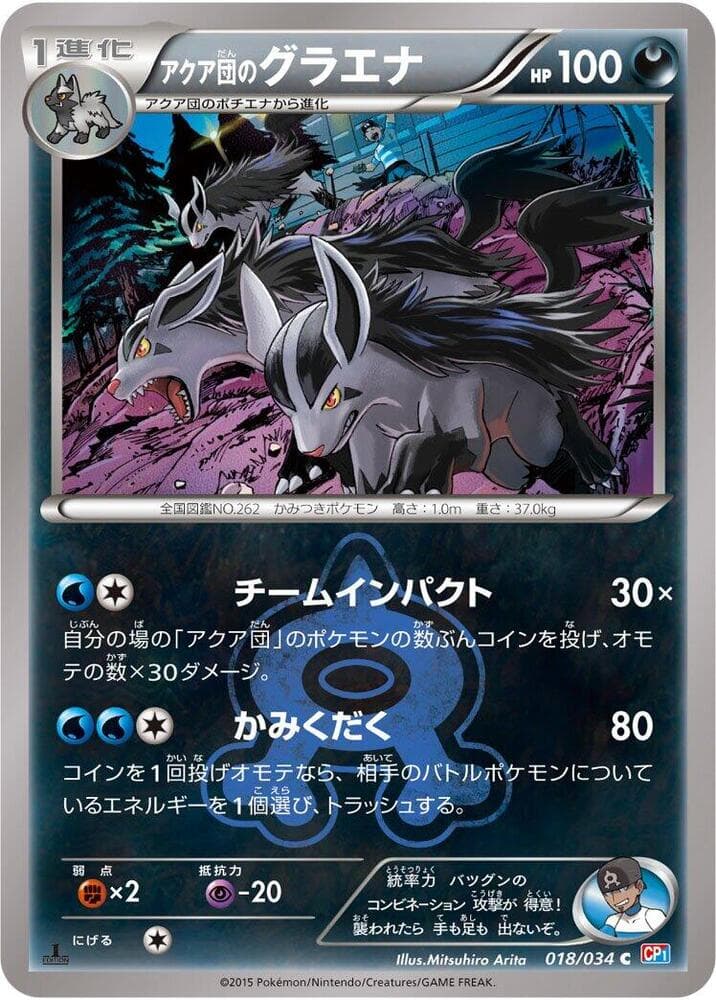 Team Aqua's Mightyena 018/34