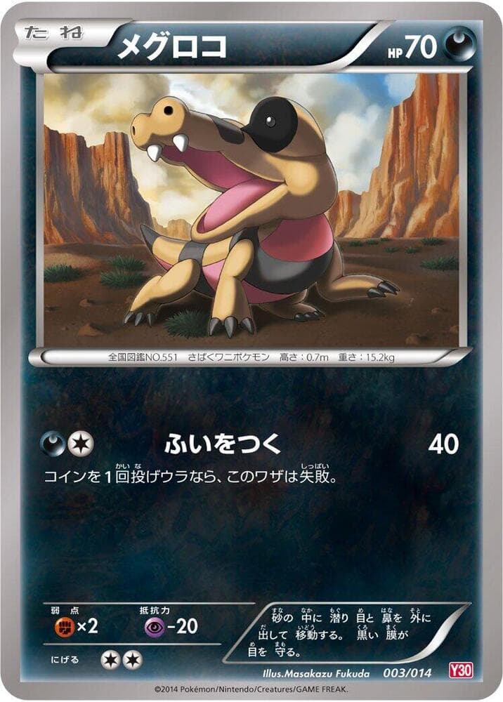 Sandile 003/14