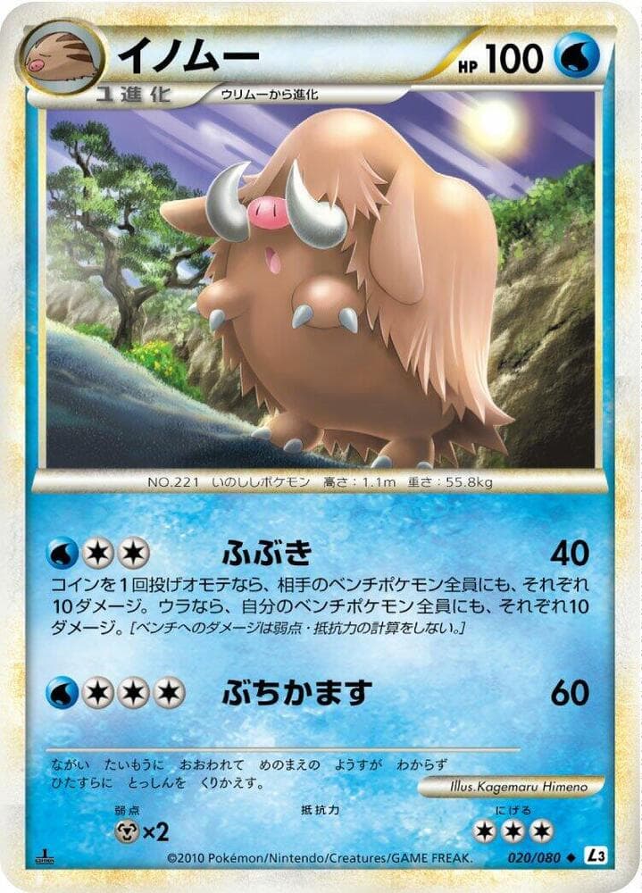 Piloswine 020/80