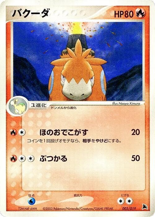 Camerupt 003/19