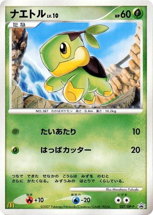 Turtwig 027
