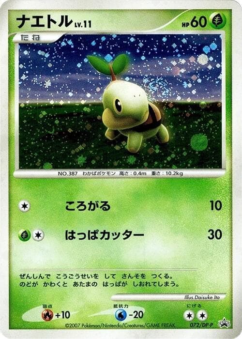 Turtwig 072