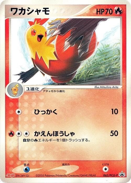 Combusken 065