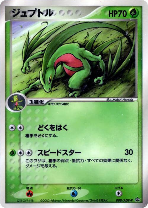 Grovyle 008