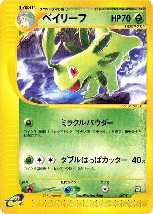 Bayleef 007