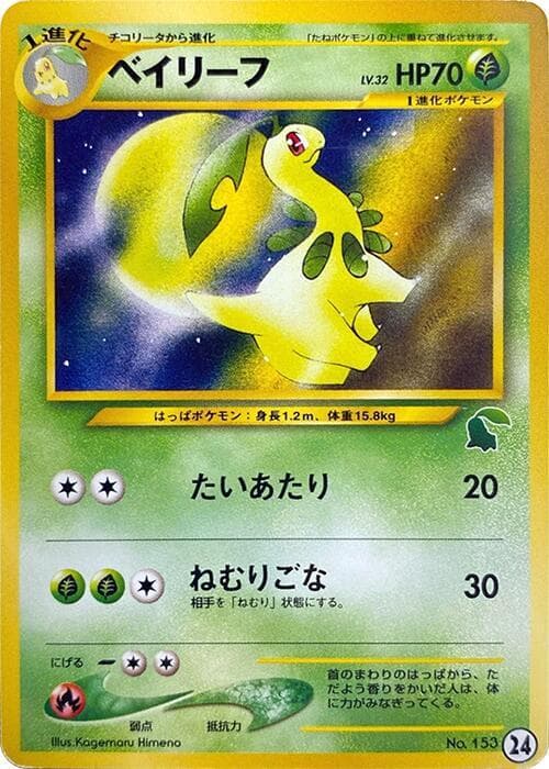 Bayleef 24