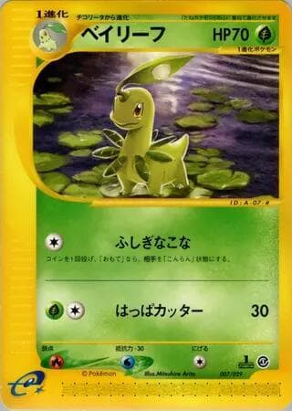 Bayleef 007/29