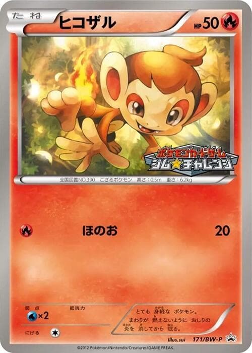 Chimchar 171