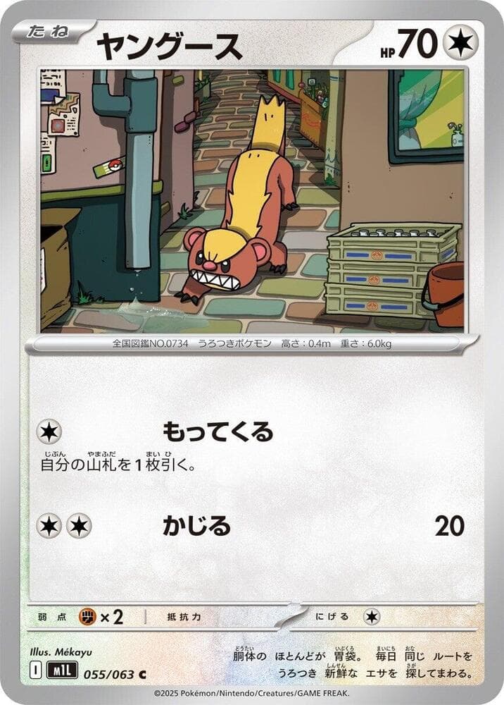 Yungoos 055/63