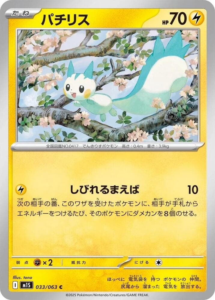 Pachirisu 033/63