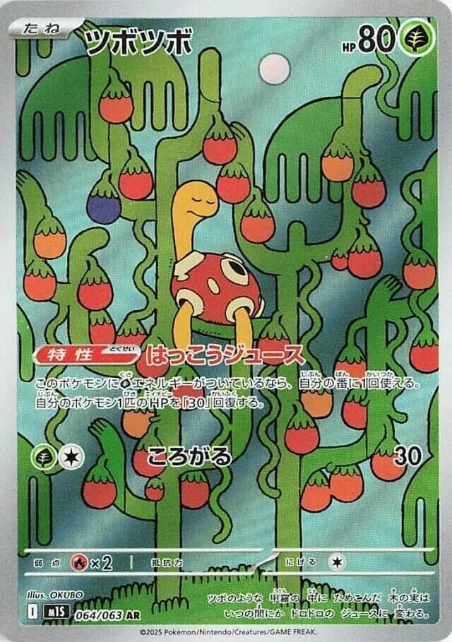 Shuckle 064/63
