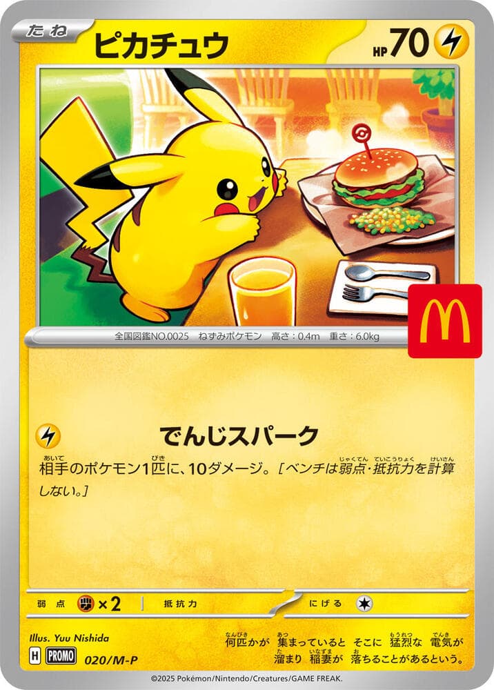 Pikachu 020