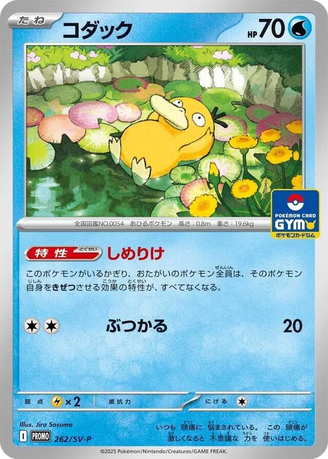 Psyduck 262
