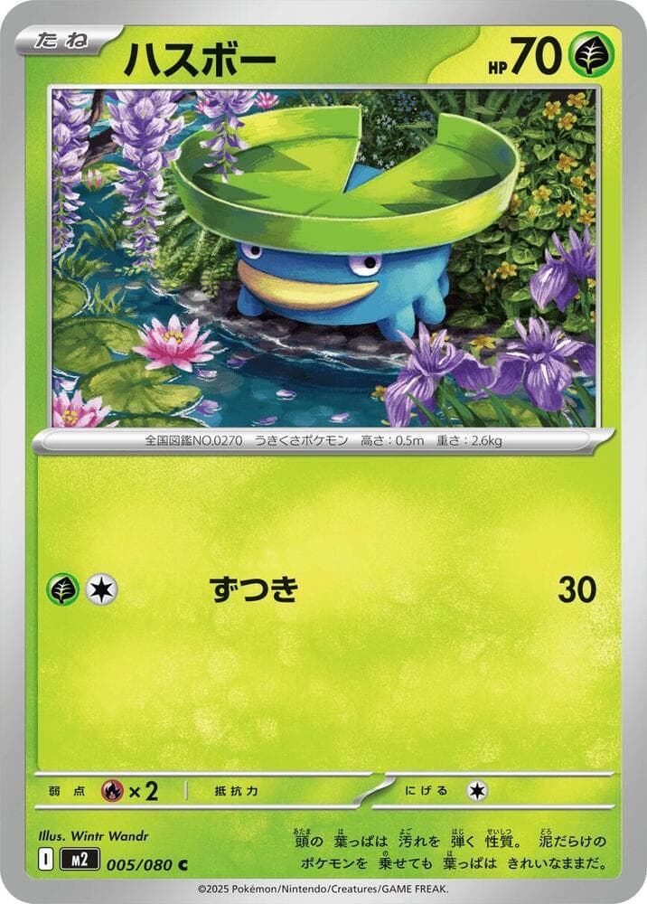 Lotad 005/80