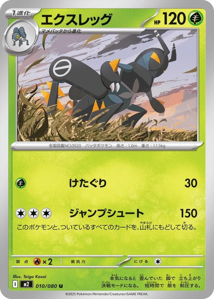 Lokix 010/80