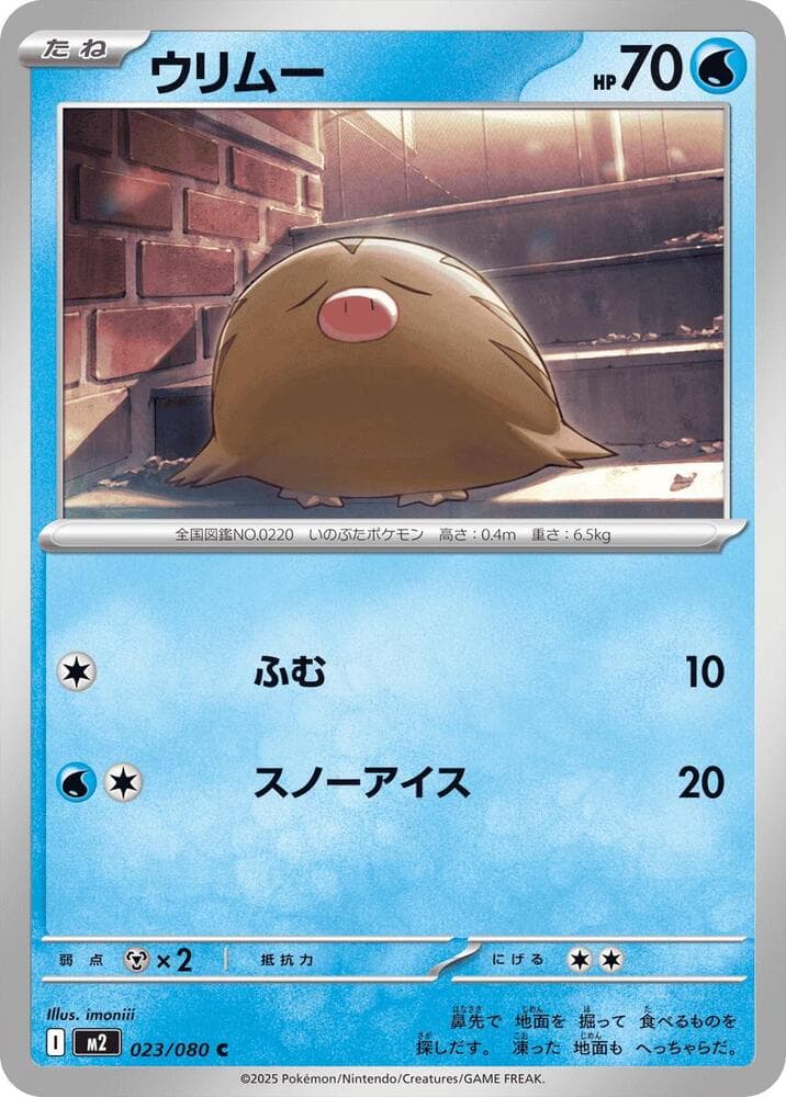 Swinub 023/80