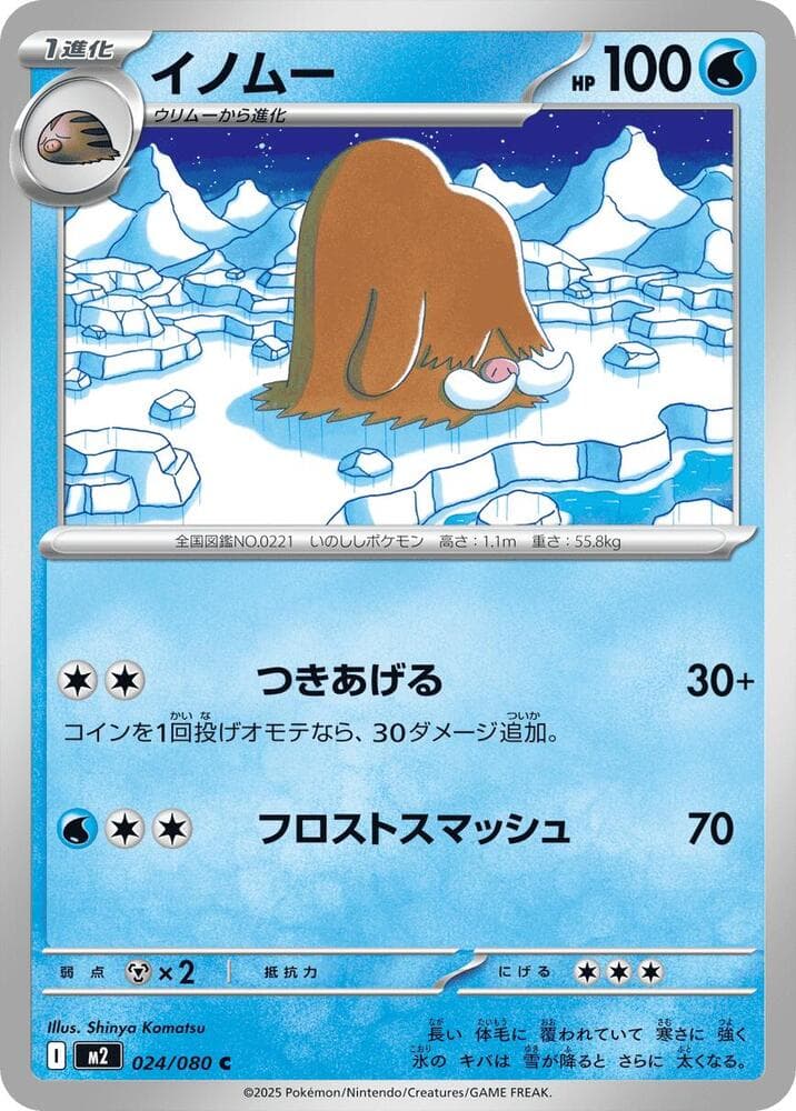 Piloswine 024/80