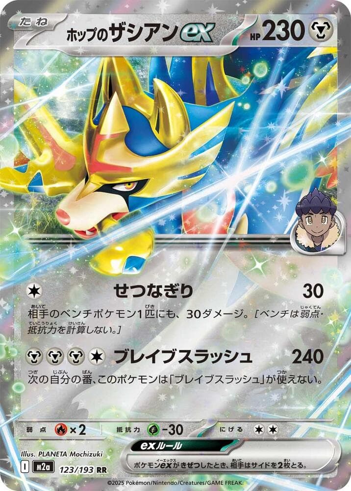 Hop's Zacian ex 123/193