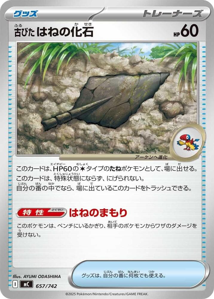 Antique Plume Fossil 657/742