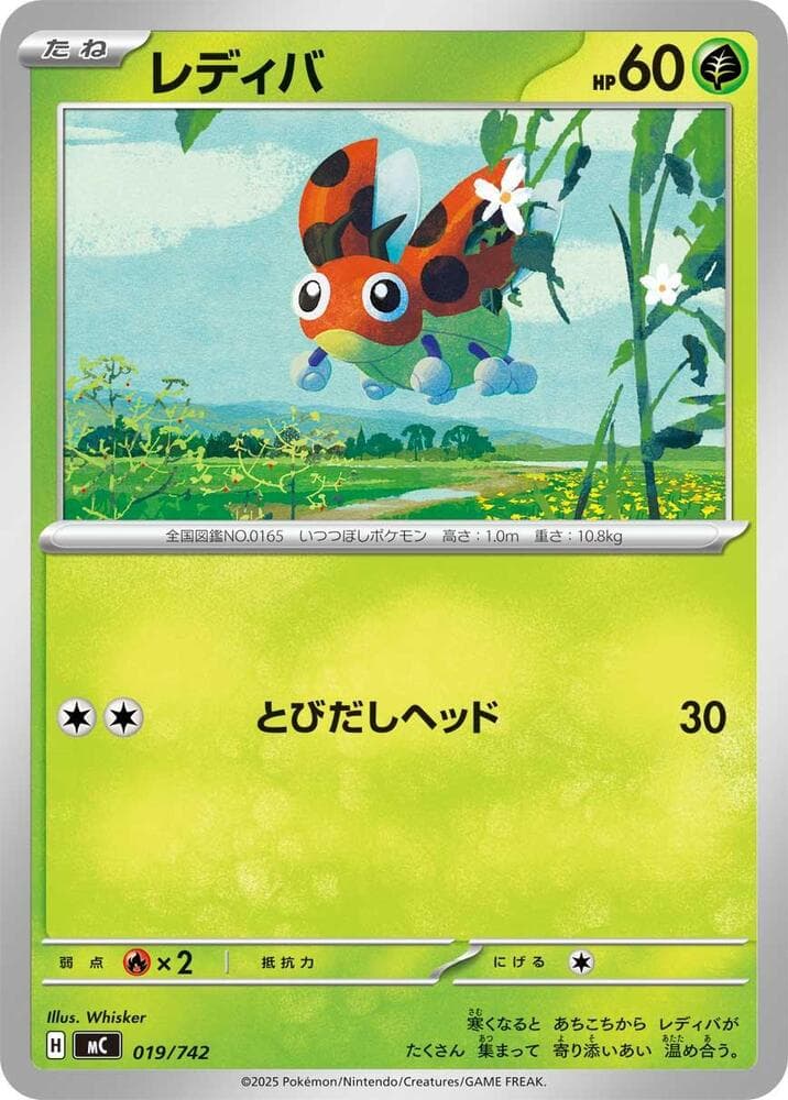 Ledyba 019/742
