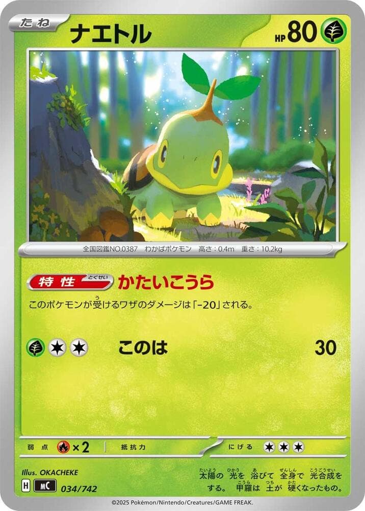 Turtwig 034/742