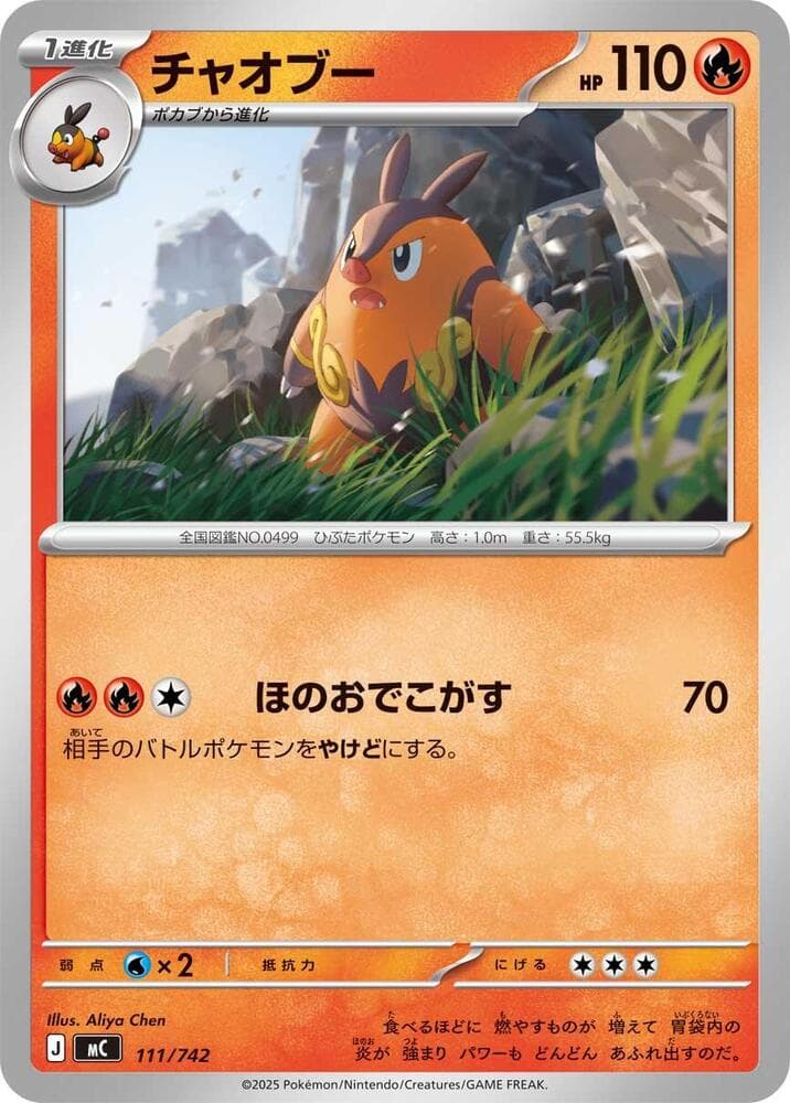 Pignite 111/742