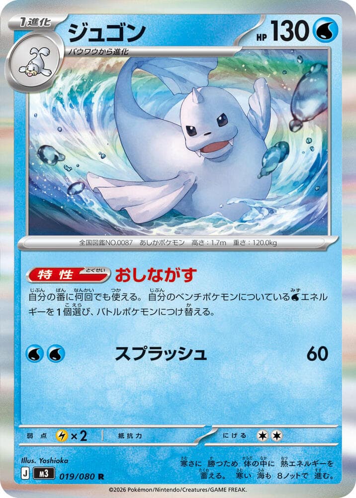 Dewgong 019/80