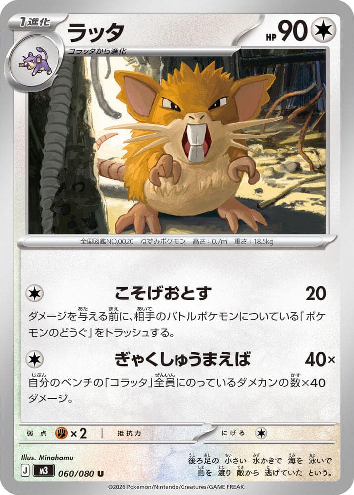 Raticate 060/80