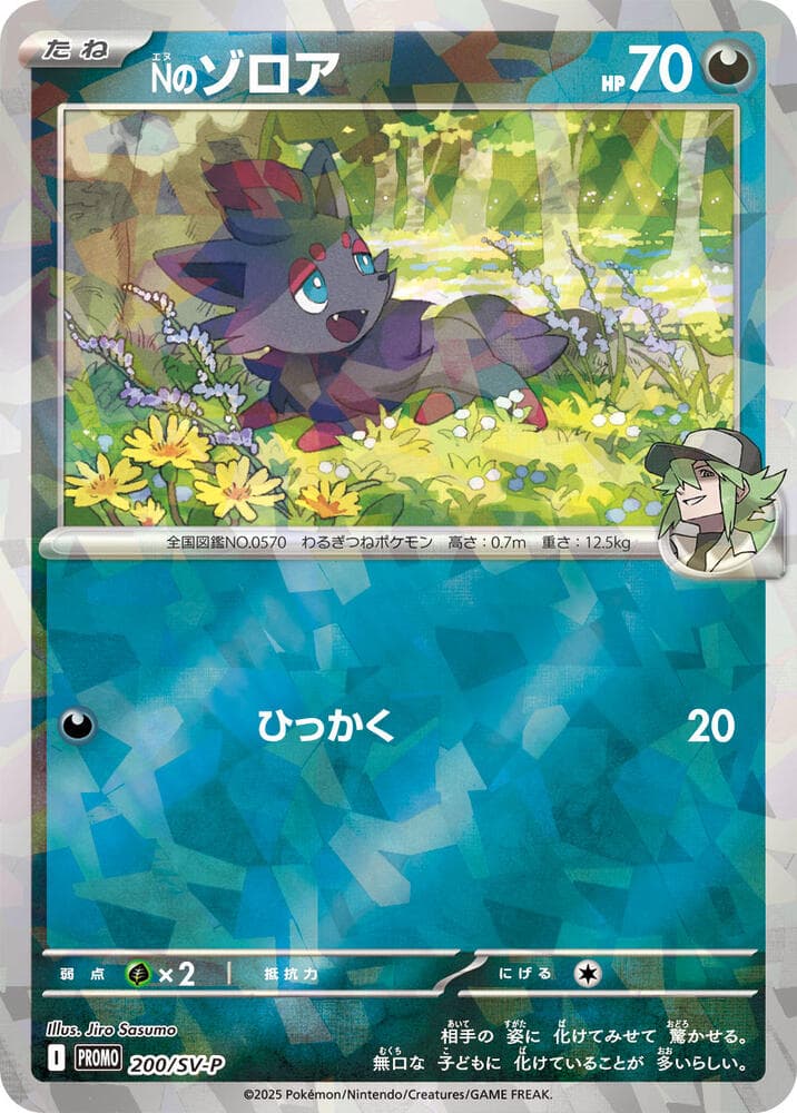 N's Zorua 200