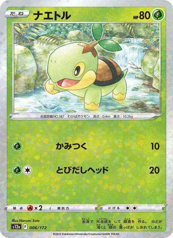 Turtwig 006/172