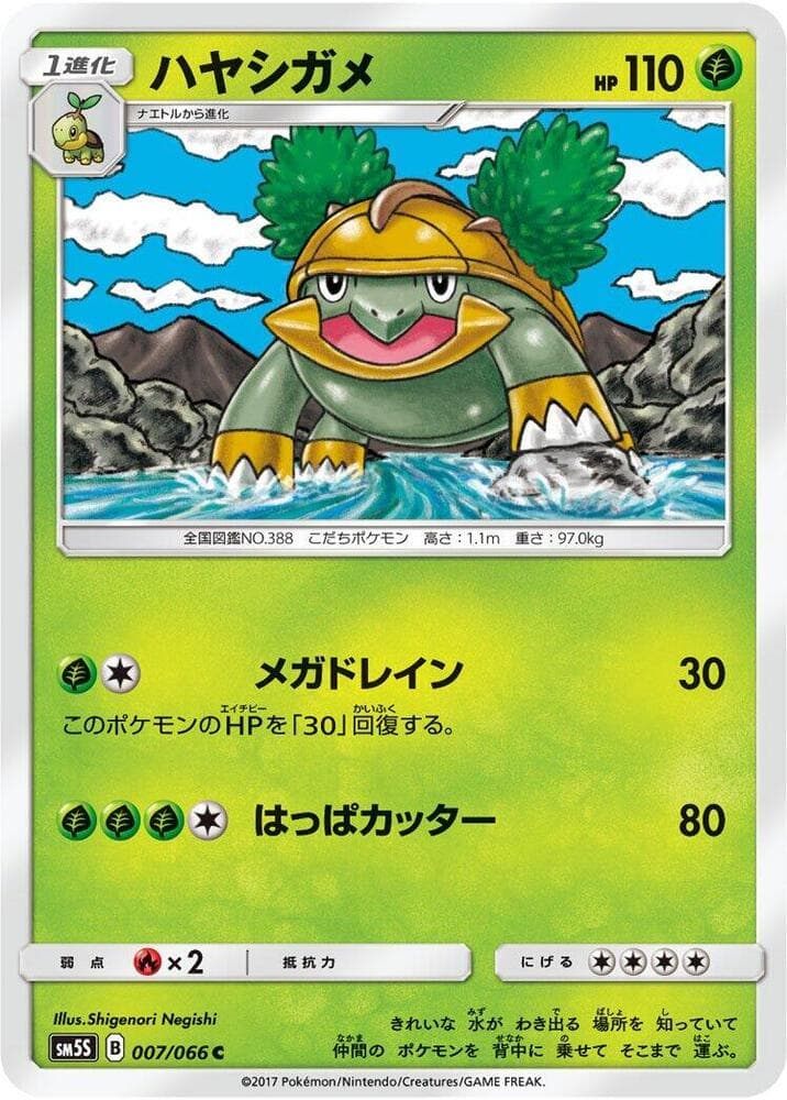 Grotle 007/66